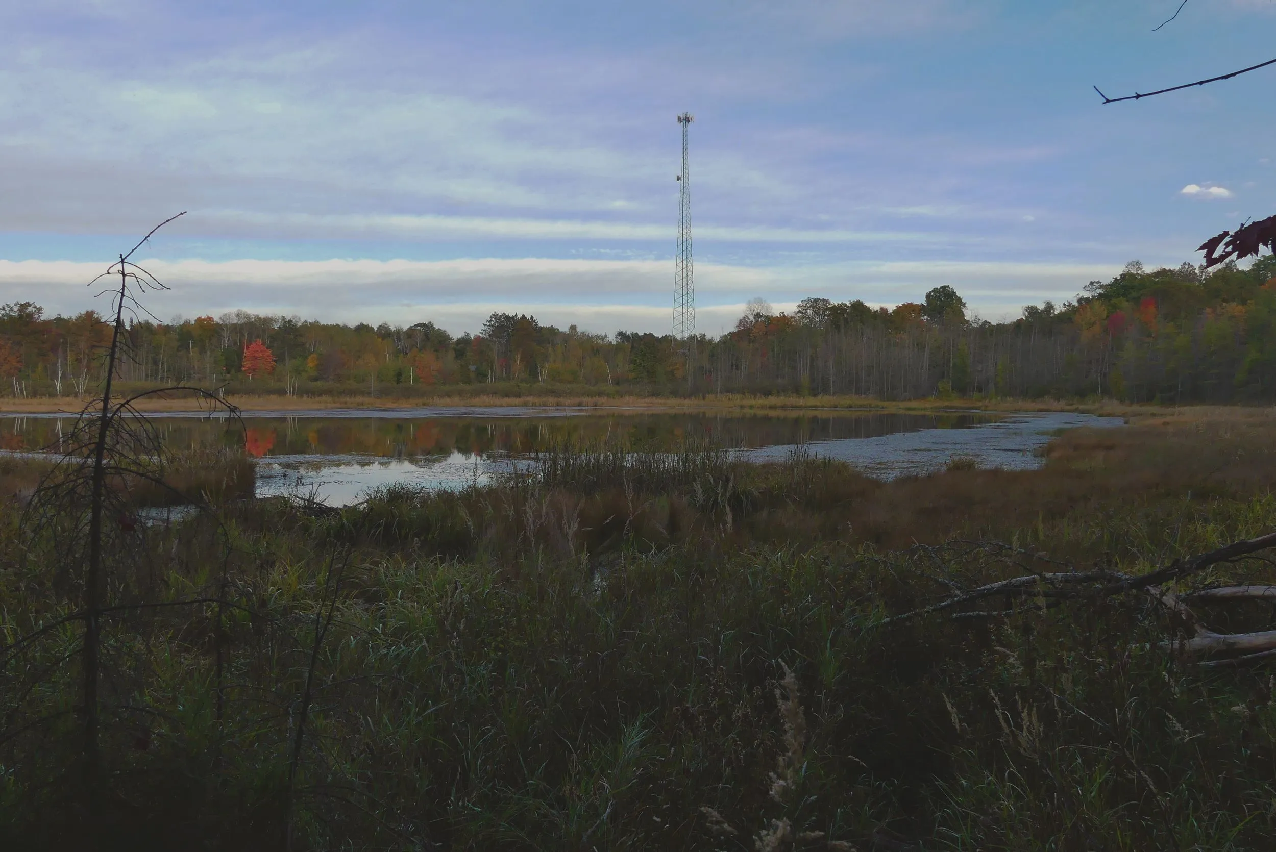 Still marsh water at dusk in northern Wisconsin, reflecting a treeline touched with autumn color beneath a soft evening sky